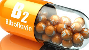 Vitamin b2 là một trong 8 vitamin nhóm B