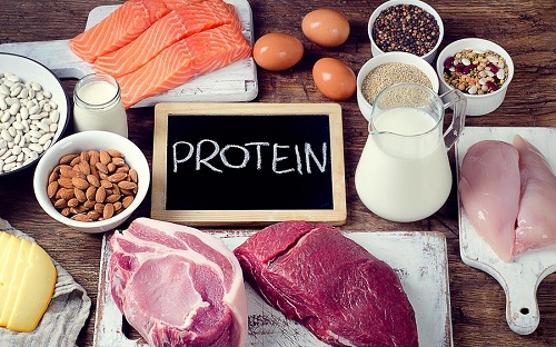Protein nắm giữ vai trò quan trọng với cơ thể