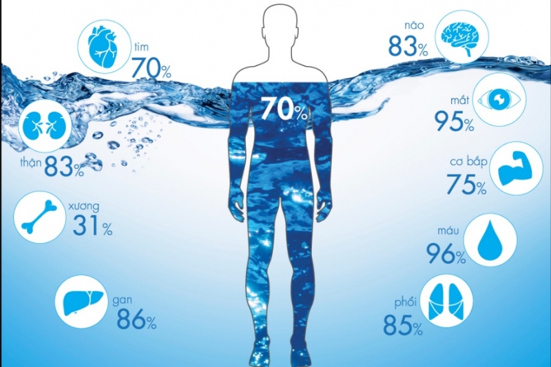 70% trọng lượng cơ thể là nước